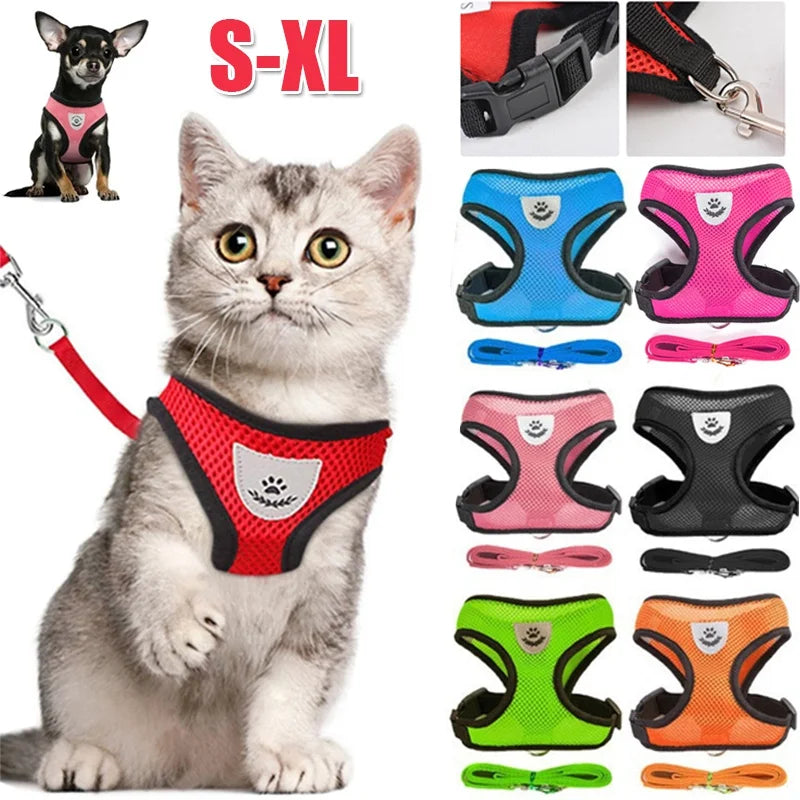 Harnais en maille légère pour chat et petit chien