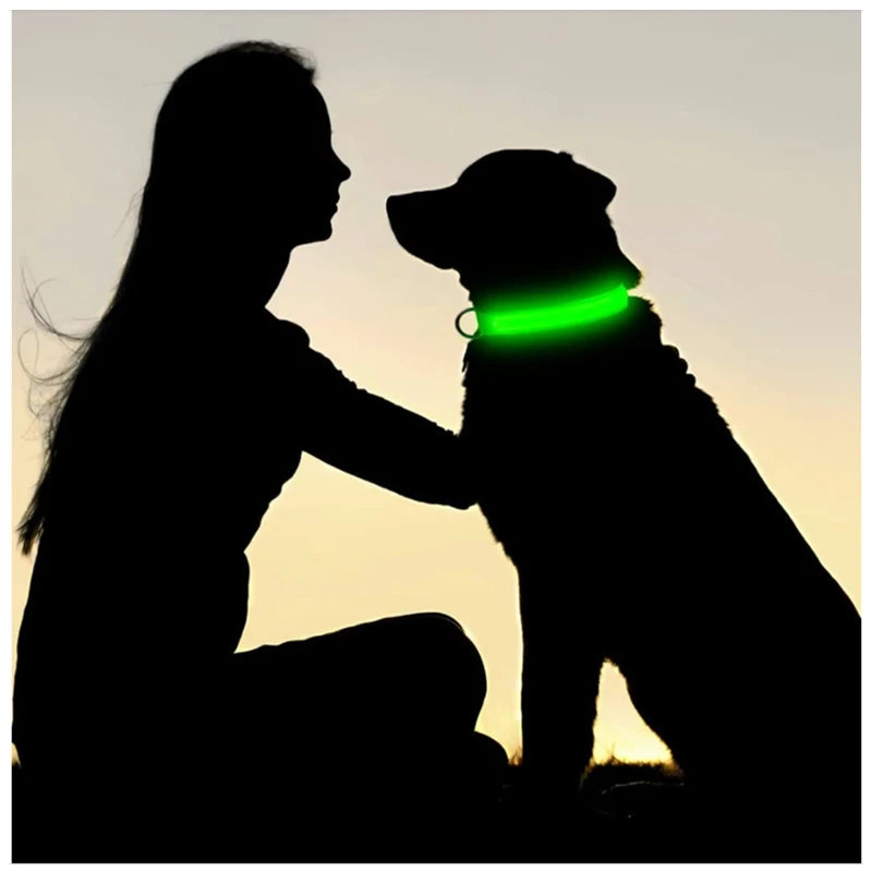 Silhouette d'une personne et de son chien au crépuscule, le collier lumineux visible dans le noir
