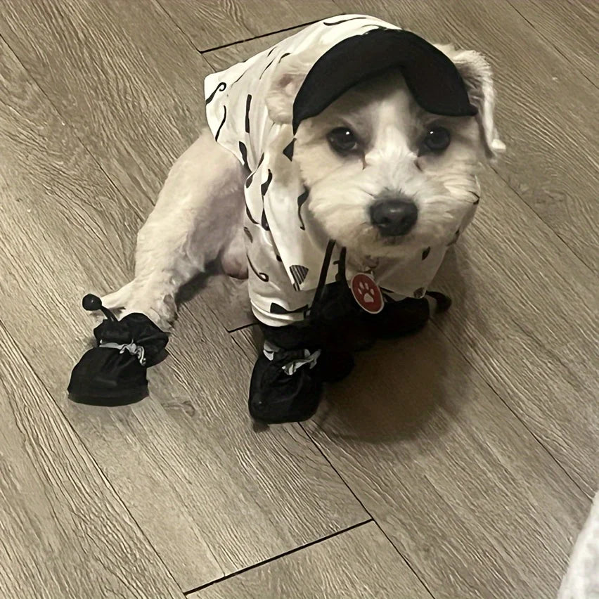 Petit chien blanc portant les quatre bottes de pluie noires sur un parquet