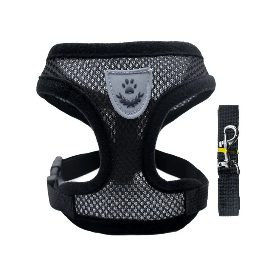 Gilet de marche noir avec laisse assortie