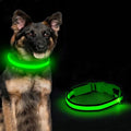Berger allemand portant le collier lumineux LED vert allumé, la nuit, et le collier posé à côté