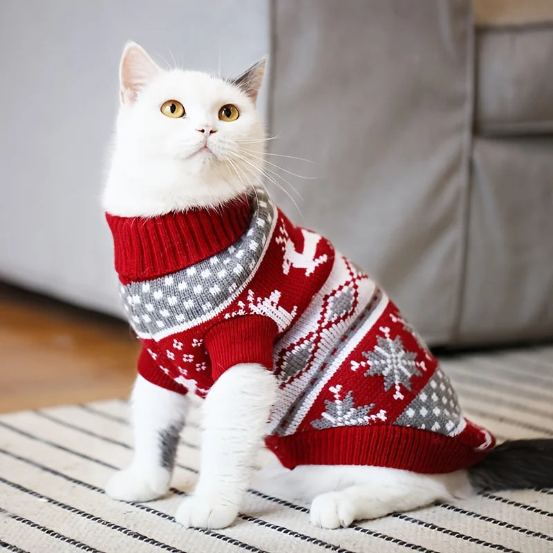 Chat blanc portant le pull rouge à motif rennes, assis sur un tapis