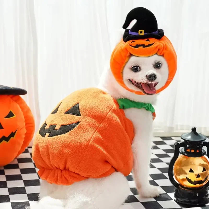 Costume citrouille vu de face