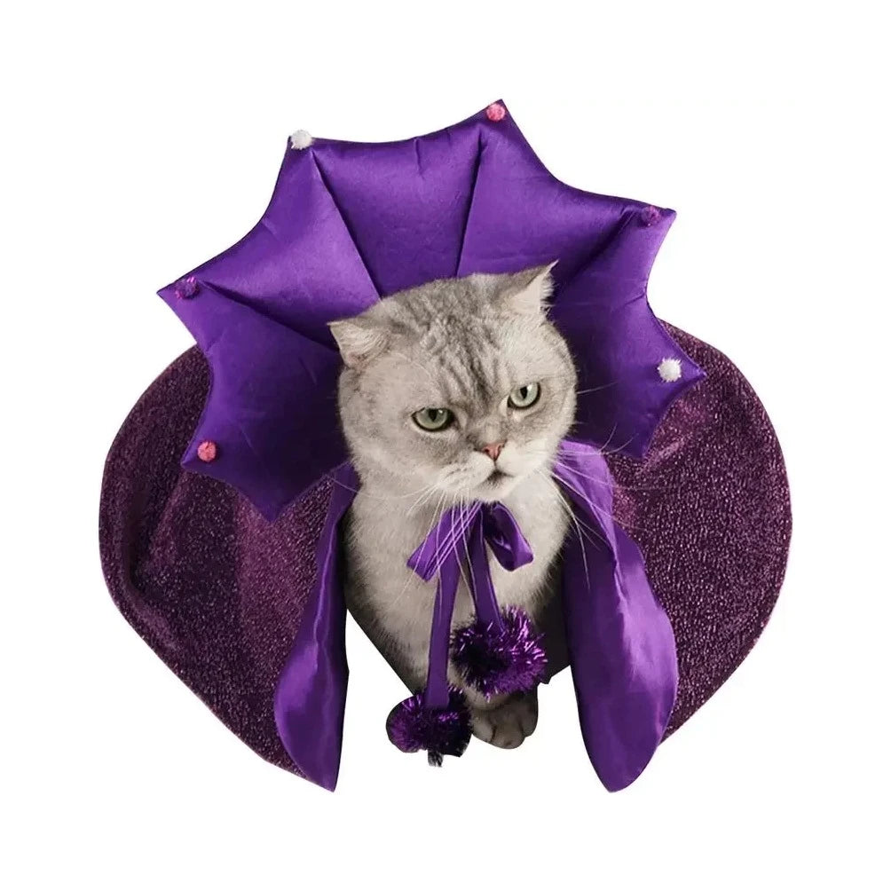 Chat portant la cape de sorcière violette et son chapeau