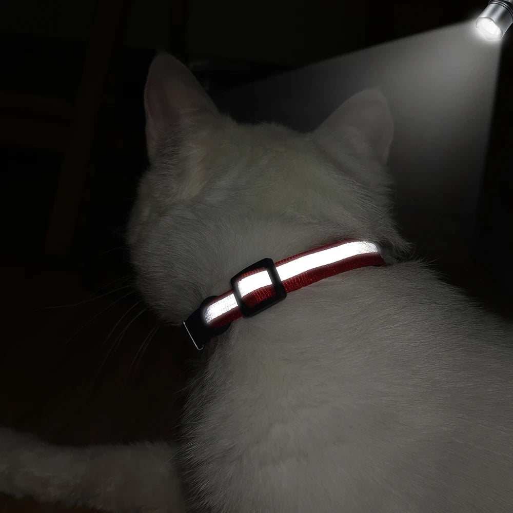 Dans le noir, la bande réfléchissante du collier renvoie la lumière d'une lampe (modèle rouge en démonstration)