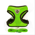 Harnais en maille vert fluo avec laisse assortie pour chat et petit chien, Araneis