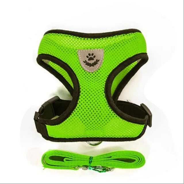 Harnais en maille vert fluo avec laisse assortie pour chat et petit chien, Araneis