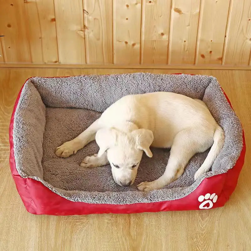 Labrador endormi dans le panier matelassé rouge à bord surélevé
