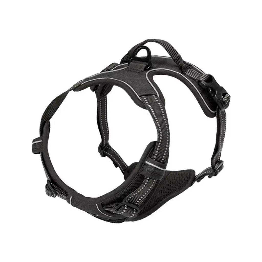 Harnais anti-traction noir Araneis vu de face, clip frontal et sangles réfléchissantes
