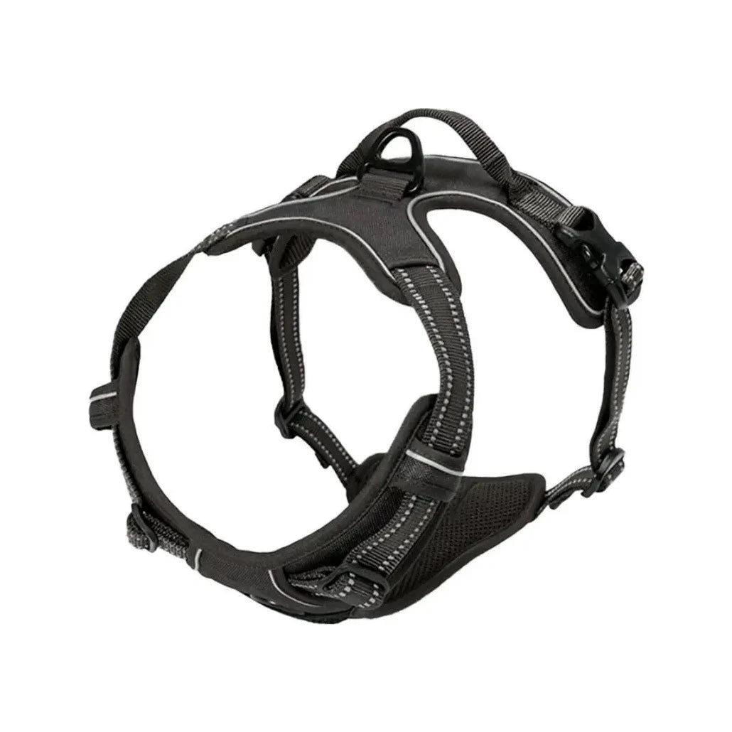 Harnais anti-traction noir Araneis vu de face, clip frontal et sangles réfléchissantes