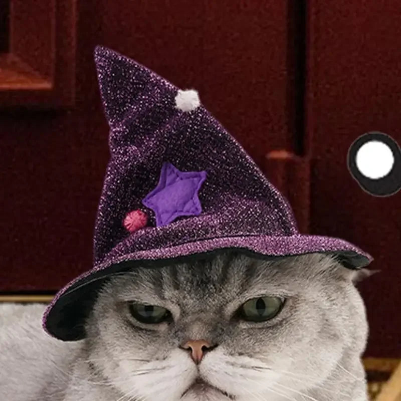 Chat portant le chapeau de sorcière violet pailleté