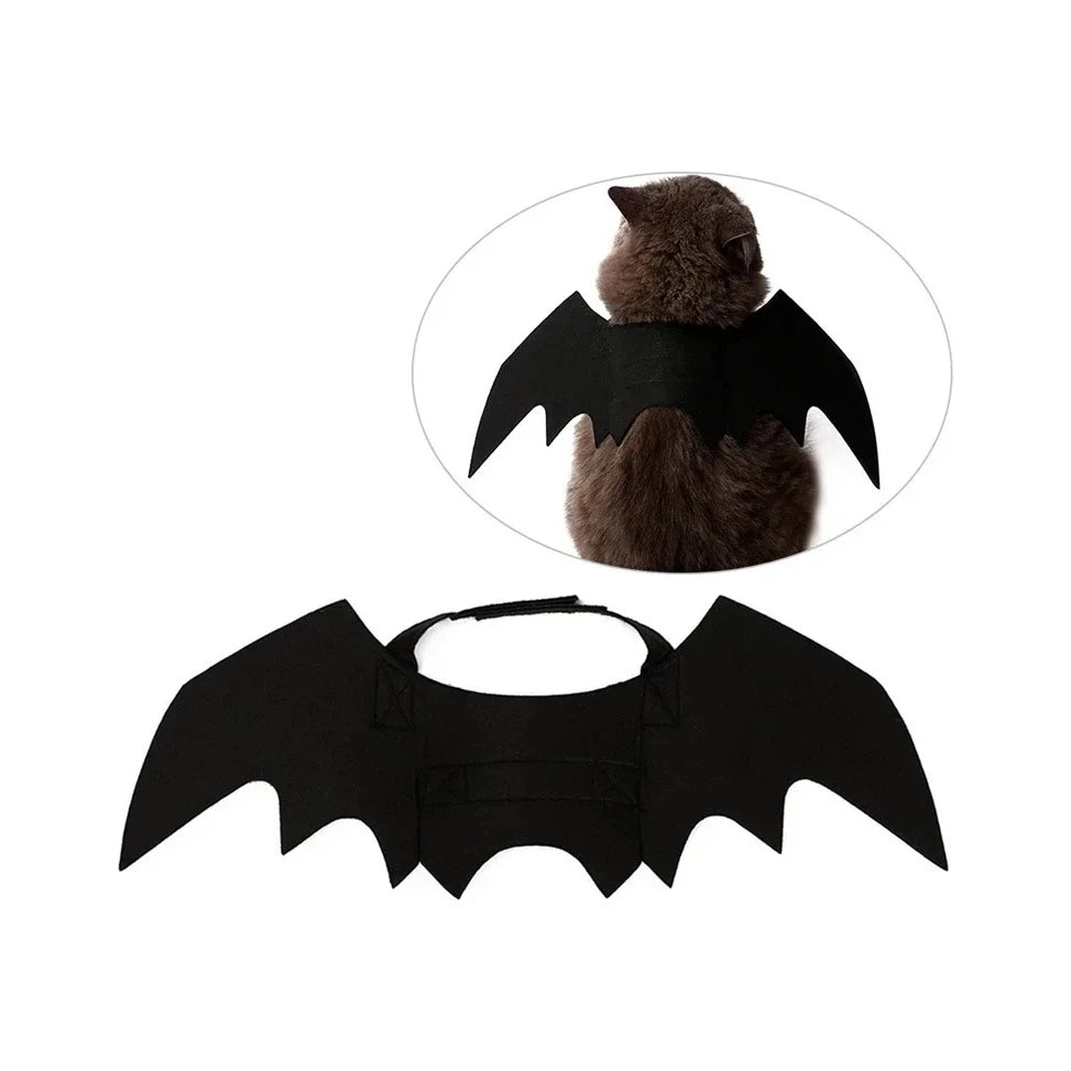 Ailes de chauve-souris noires posées à plat, avec leur sangle réglable