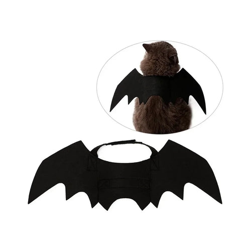 Ailes de chauve-souris noires posées à plat, avec leur sangle réglable