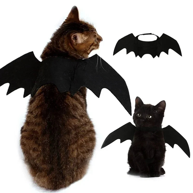 Ailes de chauve-souris portées, vue de dos