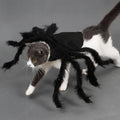 Chat gris et blanc portant un costume d'araignée noire à huit pattes