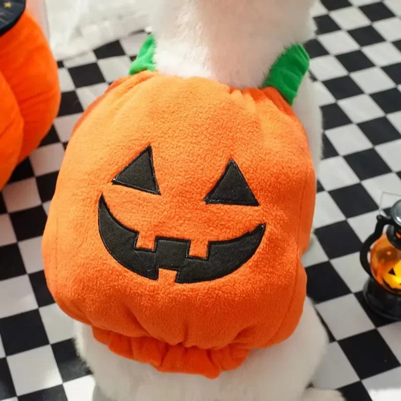 Le costume citrouille vu de dos : visage de Jack-o'-lantern et tige verte