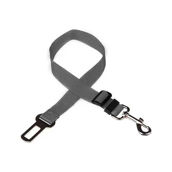 Ceinture d'attache voiture gris foncé avec mousqueton et boucle inox