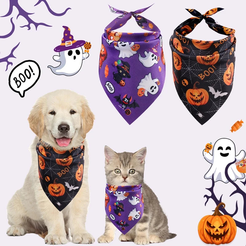 Chien et chat portant les deux bandanas d'Halloween, motifs citrouilles et fantômes