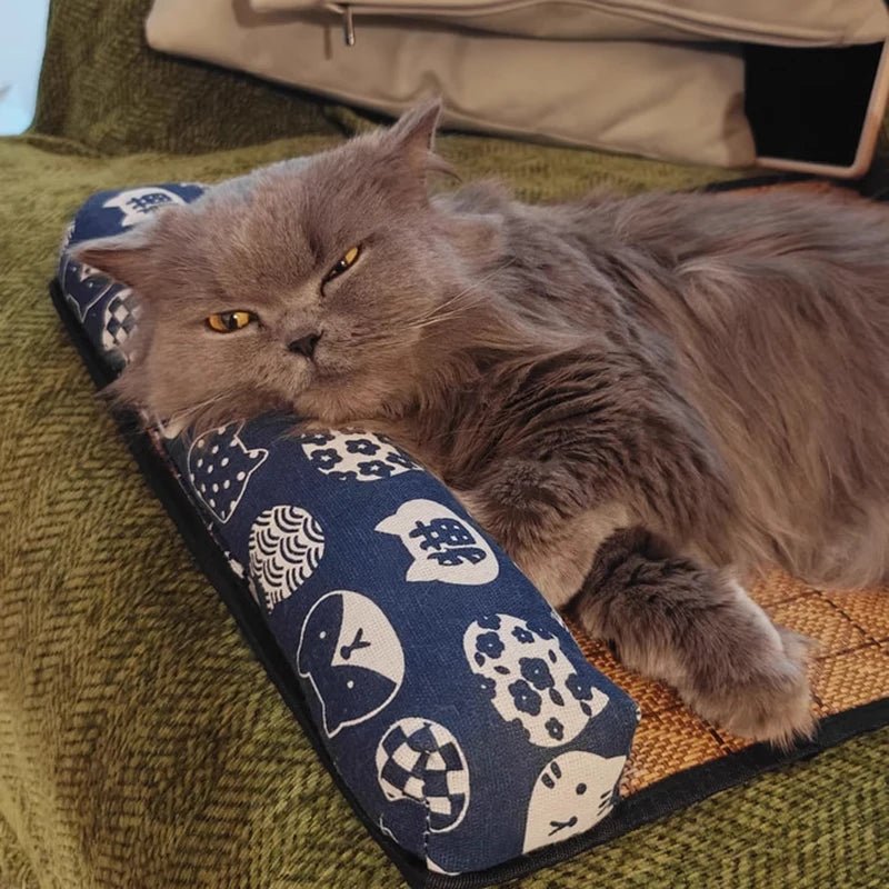 Chat gris couché contre le traversin du tapis en rotin