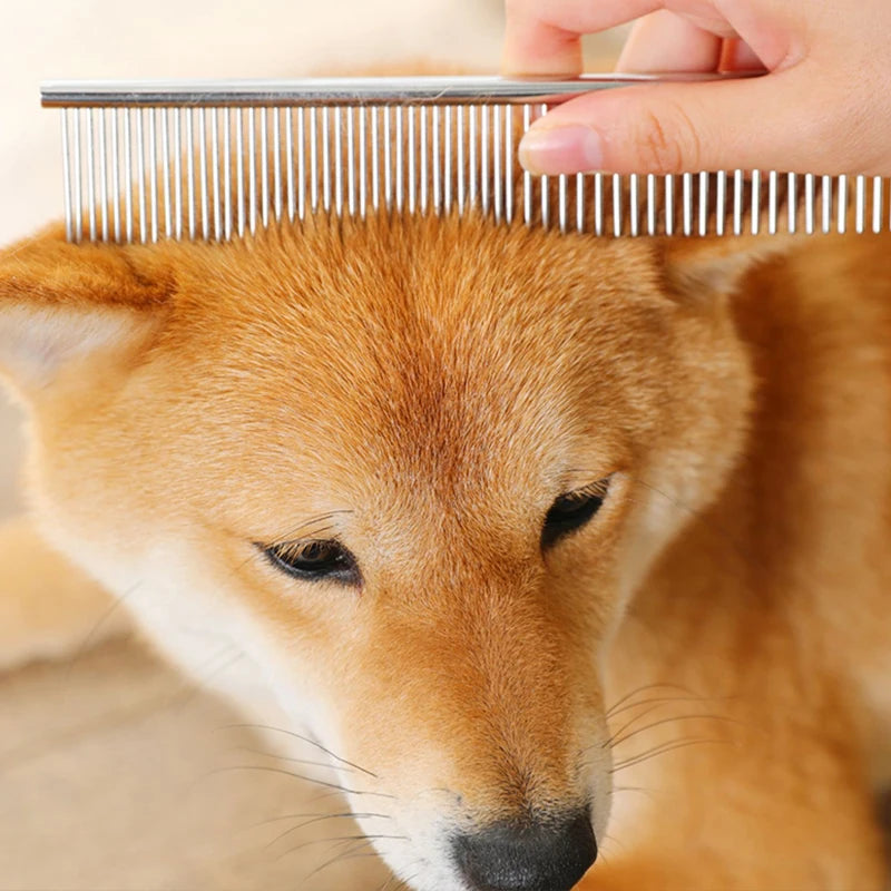 Chien Shiba peigné avec le peigne démêloir Araneis