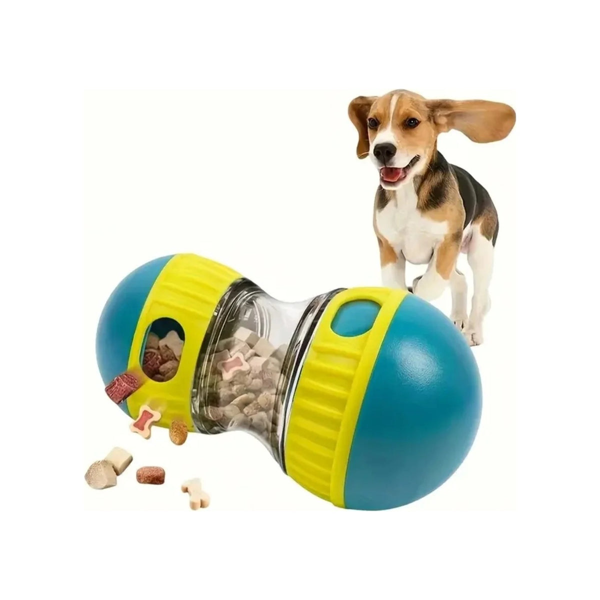 Beagle et jouet distributeur de friandises bleu et jaune Araneis, croquettes répandues au sol