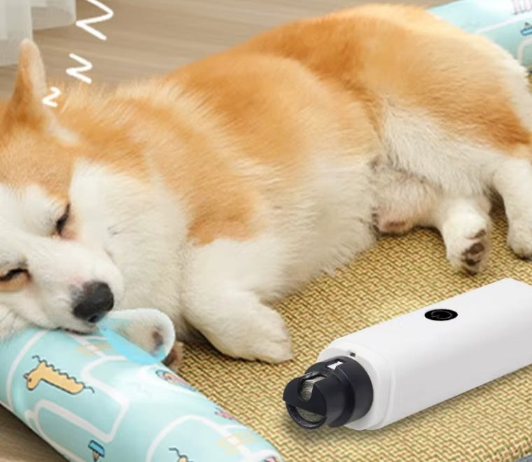 Corgi endormi à côté de la lime à griffes posée sur un tapis